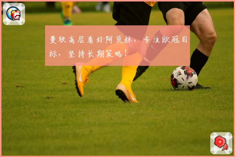 曼联高层看好阿莫林，专注欧冠目标，坚持长期策略！