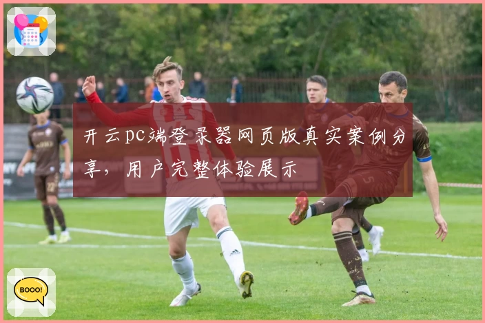 开云pc端登录器网页版真实案例分享，用户完整体验展示