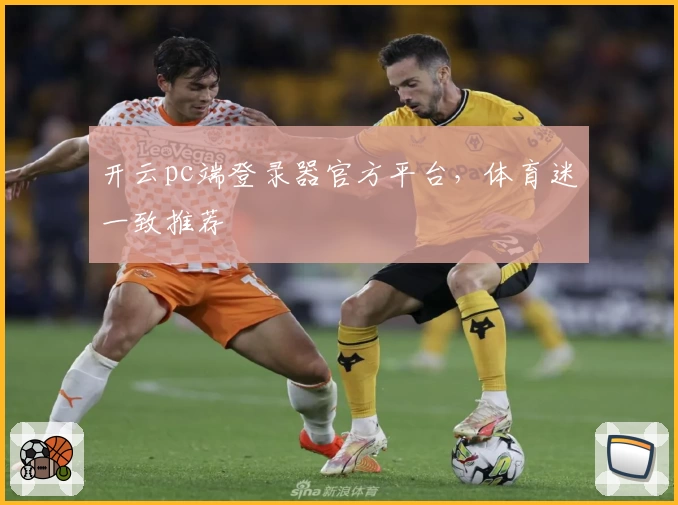 开云pc端登录器官方平台，体育迷一致推荐
