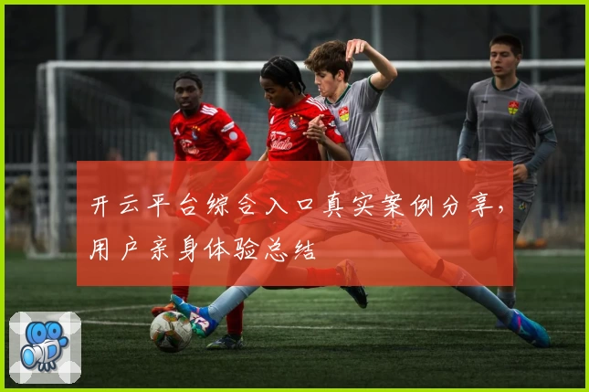 开云平台综合入口真实案例分享，用户亲身体验总结