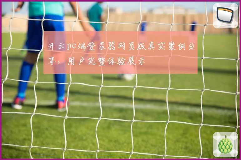 开云pc端登录器网页版真实案例分享，用户完整体验展示