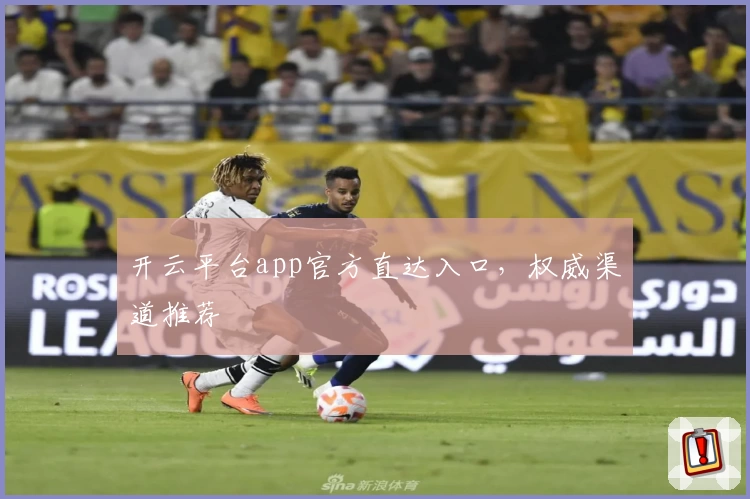 开云平台app官方直达入口，权威渠道推荐