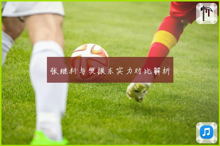 张继科与樊振东实力对比解析