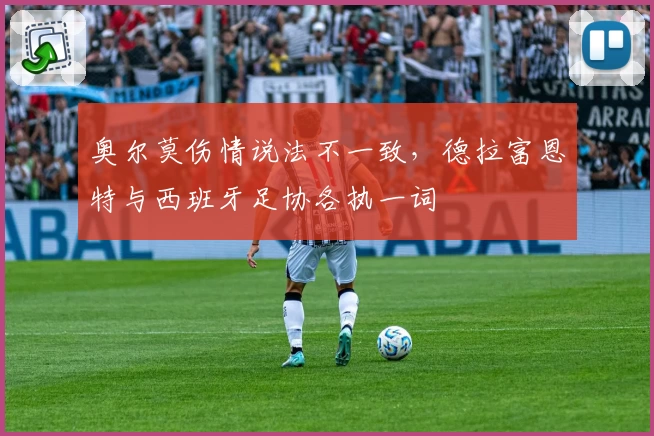 奥尔莫伤情说法不一致，德拉富恩特与西班牙足协各执一词